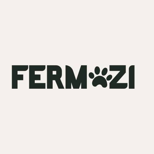 Fermazi